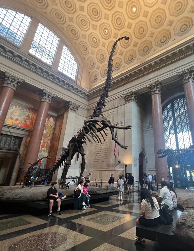 Dinosaurs at the Museum of Natural History